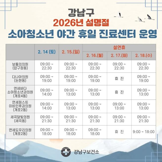 강남구, 설 연휴에도 빈틈없는 비상진...