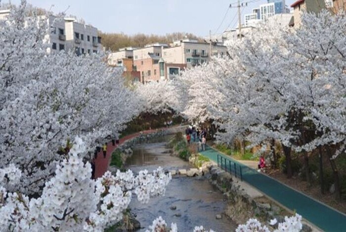 서울시, 총 251km 구간에 펼쳐지...