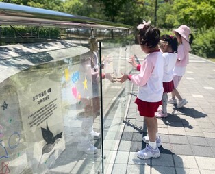 하남 감일유, 제인구달 ‘뿌리와 새싹’ 활동으로 생물다양성을 지켜요