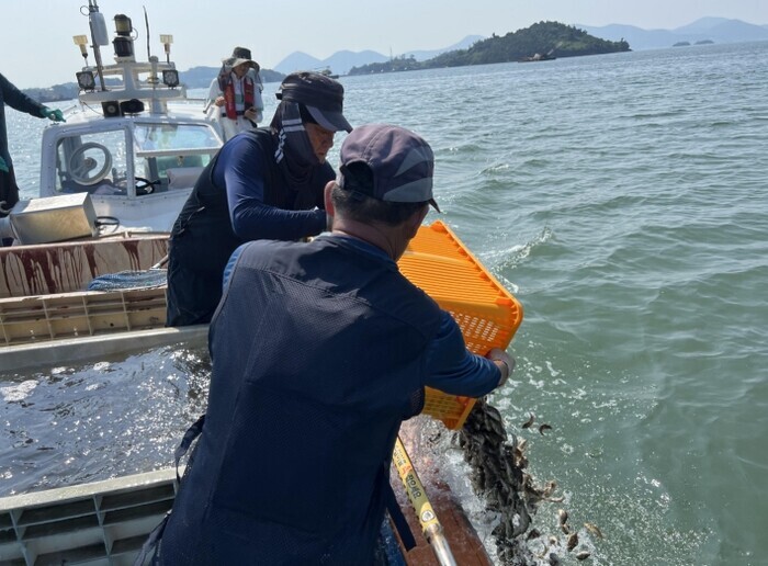 전남광주특별시, 고수온 피해 최소화위...